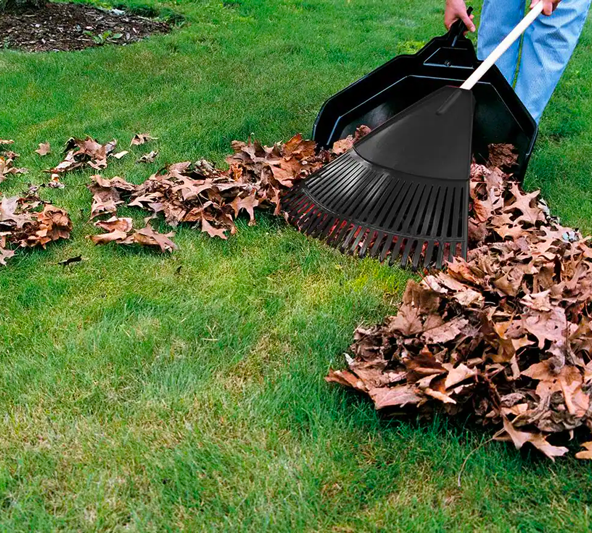 Yard Clean Up and Seasonal Maintenance