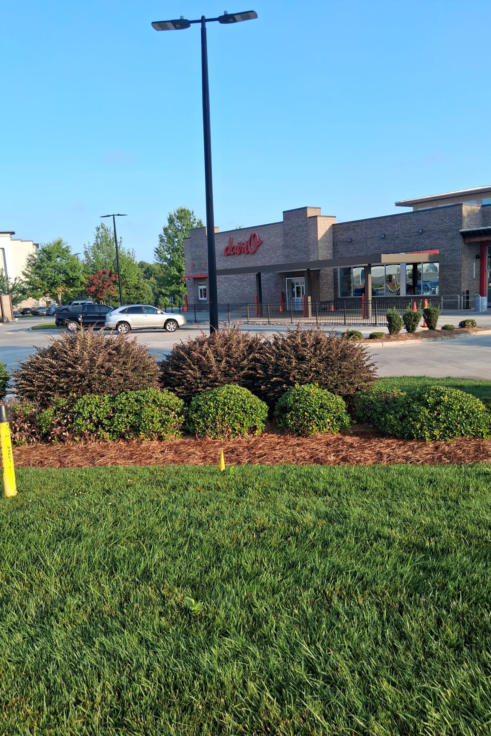 King Lawn & Landscape Tree Services